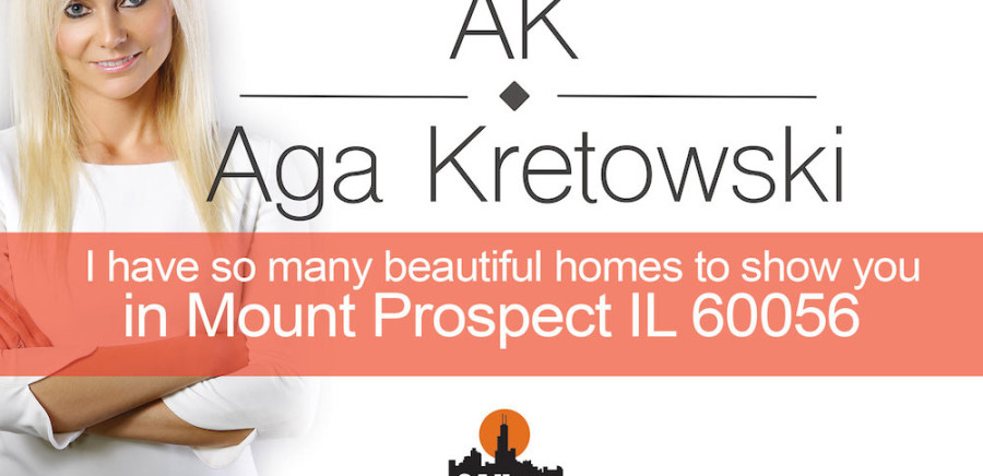 Homes for sale Mount Prospect IL